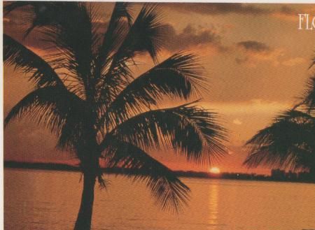 USA, Florida - Beautiful sunset - 1993 USA, Florida - Beautiful sunset - 1993