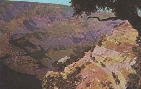 USA, Arizona - Grand Canyon - Mule train - 1977 USA, Arizona - Grand Canyon - Mule train - 1977
