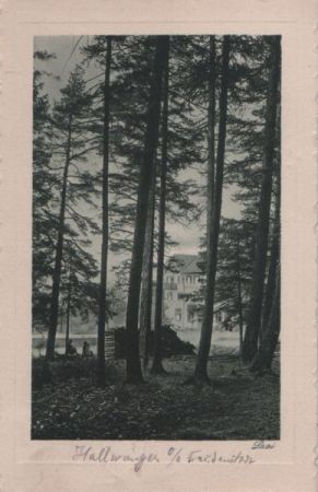 Dornstetten-Hallwangen - Kurhaus Grüner Baum - 1927 Dornstetten-Hallwangen - Kurhaus Grüner Baum - 1927