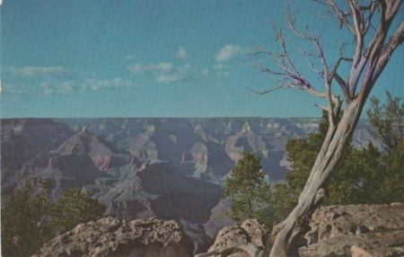 USA - Grand Canyon - 1982 USA - Grand Canyon - 1982
