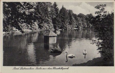 Bad Liebenstein - Partie aus dem Elisabethpark - ca. 1950 Bad Liebenstein - Partie aus dem Elisabethpark - ca. 1950