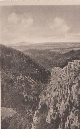 Thale - Bodetal - Blick v. Hexentanzplatz - ca. 1955 Thale - Bodetal - Blick v. Hexentanzplatz - ca. 1955