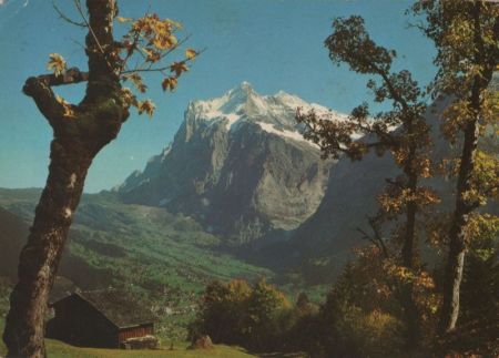 Schweiz - Grindelwald - Wetterhorn - ca. 1975 Schweiz - Grindelwald - Wetterhorn - ca. 1975