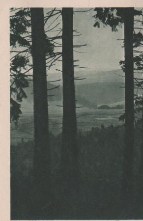 Schierke - Motiv aus dem Harz - ca. 1955 Schierke - Motiv aus dem Harz - ca. 1955