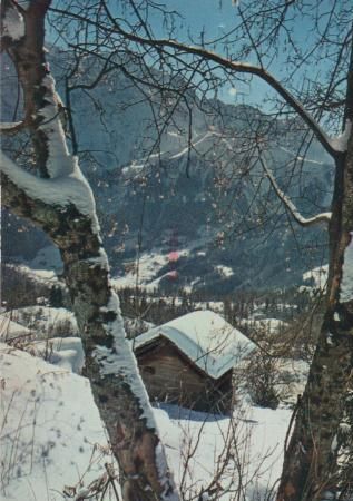Frankreich - Les Houches - La Flatiere - 1976 Frankreich - Les Houches - La Flatiere - 1976