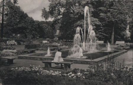 Bad Driburg - Partie im Kurpark - 1961 Bad Driburg - Partie im Kurpark - 1961