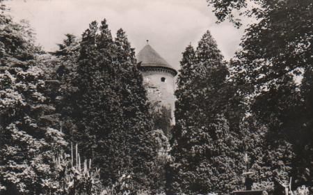 Überlingen (Bodensee) - Stadtgarten - 1961 Überlingen (Bodensee) - Stadtgarten - 1961