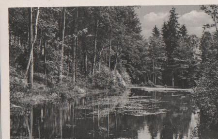 Walsrode - Lohofer Fischteiche im Kleckerwald - 1961 Walsrode - Lohofer Fischteiche im Kleckerwald - 1961