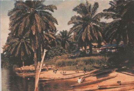 Ogowe - Kongo. Demokratische Republik - Lambarene-Süital Ogowe - Kongo. Demokratische Republik - Lambarene-Süital
