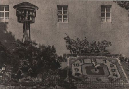 Zittau - Blumenuhr mit Glockenturm - 1968 Zittau - Blumenuhr mit Glockenturm - 1968