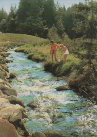 Steinwald - Grenzbach - ca. 1980 Steinwald - Grenzbach - ca. 1980