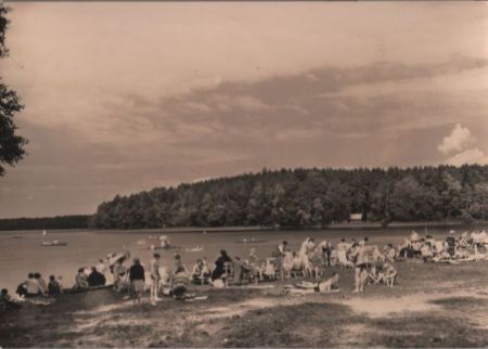 Stechlin-Neuglobsow - Badestrand am Stechlin-See - ca. 1965 Stechlin-Neuglobsow - Badestrand am Stechlin-See - ca. 1965