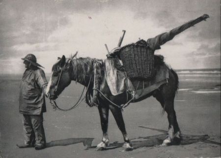 Mann mit beladenem Pferd am Strand - 1955 Mann mit beladenem Pferd am Strand - 1955