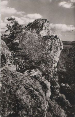 Viechtach - Pfahlpartie - ca. 1960 Viechtach - Pfahlpartie - ca. 1960