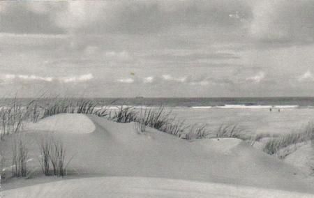 Norderney - Dünen - ca. 1965 Norderney - Dünen - ca. 1965