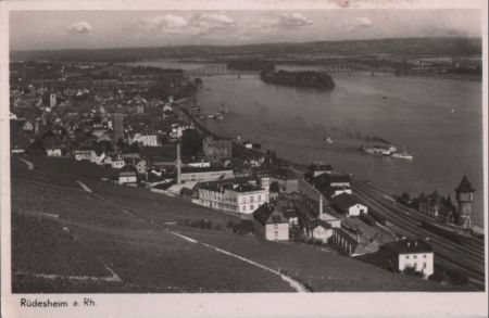 Rüdesheim - von oben Rüdesheim - von oben