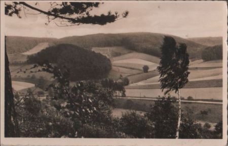 Höxter-Bruchhausen - Waldpartien - ca. 1950 Höxter-Bruchhausen - Waldpartien - ca. 1950