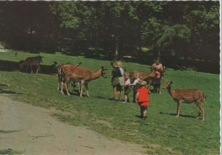 Düsseldorf - Im Wildpark - ca. 1975 Düsseldorf - Im Wildpark - ca. 1975