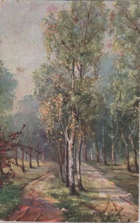 Birken am Weg Birken am Weg