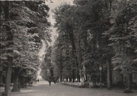 Bad Pyrmont - Brunnenallee - ca. 1960 Bad Pyrmont - Brunnenallee - ca. 1960