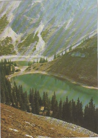 Bergsee - 1975 Bergsee - 1975