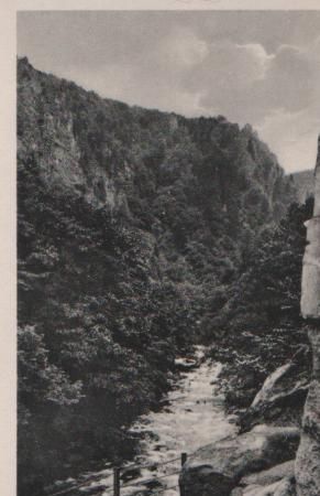 Partie im Bodetal bei Thale - ca. 1955 Partie im Bodetal bei Thale - ca. 1955