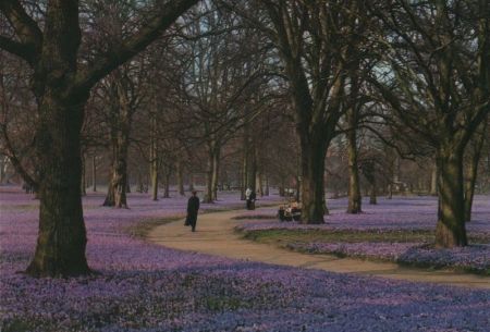 Husum - Krokusblüte im Schloßpark - ca. 2000 Husum - Krokusblüte im Schloßpark - ca. 2000