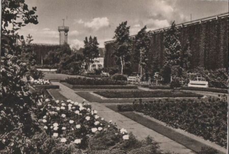 Bad Salzuflen - Im Rosengarten - ca. 1960 Bad Salzuflen - Im Rosengarten - ca. 1960