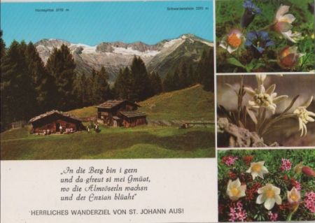 Österreich - Sankt Johann - Niederhofer Alm - ca. 1980 Österreich - Sankt Johann - Niederhofer Alm - ca. 1980