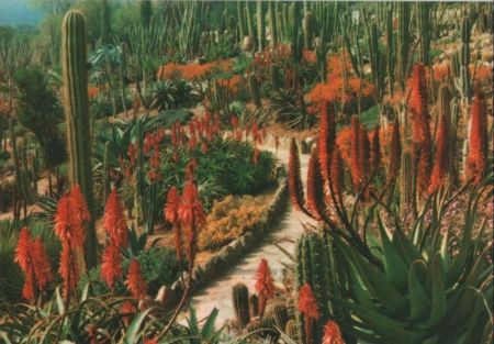 Spanien - Blanes - Jardin Botanico Tropical - ca. 1980 Spanien - Blanes - Jardin Botanico Tropical - ca. 1980