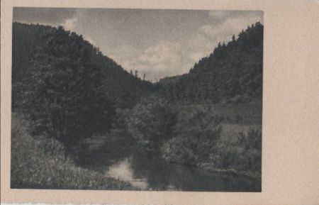 Ein Bach im Waldtal - ca. 1955 Ein Bach im Waldtal - ca. 1955