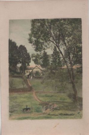 Weg über Wiese zum Haus Weg über Wiese zum Haus