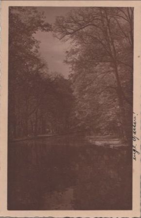 München - Englischer Garten ? - 1927 München - Englischer Garten ? - 1927