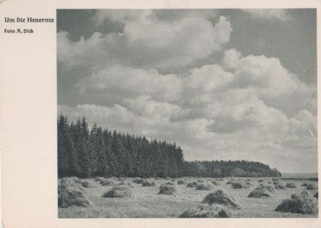 Landwirtschaft - Um die Heuernte - ca. 1950 Landwirtschaft - Um die Heuernte - ca. 1950