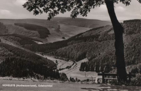 Winterberg - Berghotel Hohleye - ca. 1960 Winterberg - Berghotel Hohleye - ca. 1960