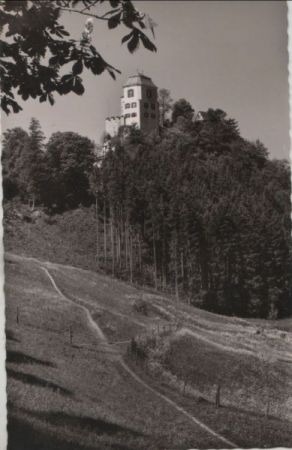 Beuron - Schloß Bronnen, Ansicht von Nordost mit Turmbau - ca. 1960 Beuron - Schloß Bronnen, Ansicht von Nordost mit Turmbau - ca. 1960