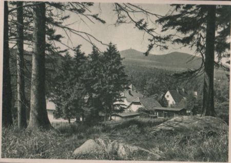 Schierke - Wurmbergblick - 1957 Schierke - Wurmbergblick - 1957