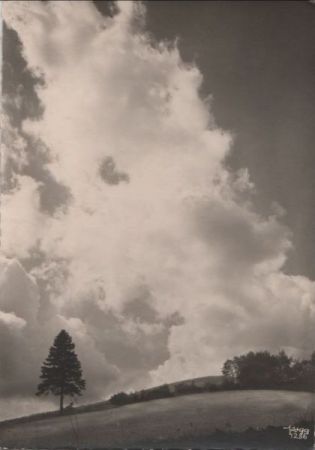 Einzelner Baum unter Wolken - ca. 1950 Einzelner Baum unter Wolken - ca. 1950