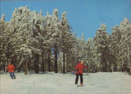 Skifahrer im Wald - 1989 Skifahrer im Wald - 1989