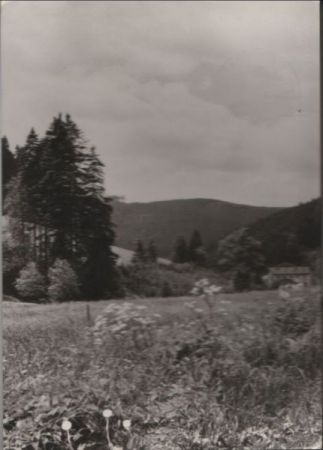 Wald und Wiese - 1989 Wald und Wiese - 1989