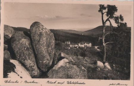 Schierke - Blick auf Waldfriede - ca. 1955 Schierke - Blick auf Waldfriede - ca. 1955