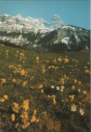 Schweiz - Engelberg - Die Wallenstöcke - ca. 1980 Schweiz - Engelberg - Die Wallenstöcke - ca. 1980
