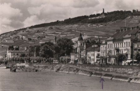 Rüdesheim - 1954 Rüdesheim - 1954