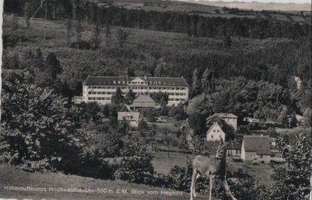 Hochwaldhausen (OT von Ilbeshausen-Hochwaldhausen) - Blick vom Hegholz - 1959 Hochwaldhausen (OT von Ilbeshausen-Hochwaldhausen) - Blick vom Hegholz - 1959