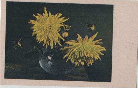 Blumen gelb, in Vase Blumen gelb, in Vase