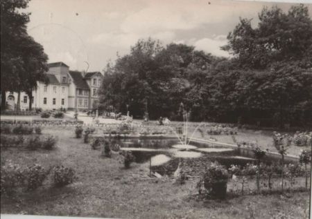 Pretzsch (Elbe) - Kurpark, Froschteich - 1969 Pretzsch (Elbe) - Kurpark, Froschteich - 1969