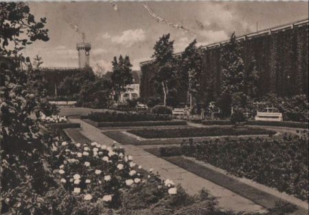 Bad Salzuflene - Im Rosengarten - 1965 Bad Salzuflene - Im Rosengarten - 1965