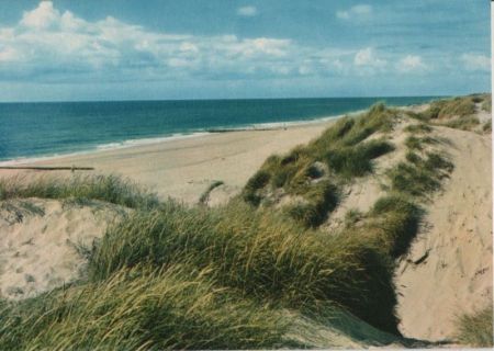 Dünen am Meer - ca. 1980 Dünen am Meer - ca. 1980
