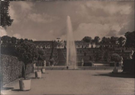 Potsdam - Terrassenanlage und Schloß Sanssouci - ca. 1965 Potsdam - Terrassenanlage und Schloß Sanssouci - ca. 1965