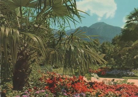 Bad Reichenhall - Palmengruppe m. Predigtstuhl - 1968 Bad Reichenhall - Palmengruppe m. Predigtstuhl - 1968